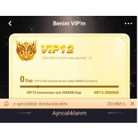 VIP 12 - 8 SEVIYE KABILE HESAP